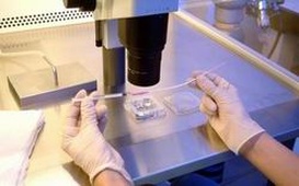 大理市做三代试管婴儿医院有哪些？全面解析为你指路